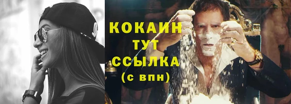 мяу мяу мука Михайлов