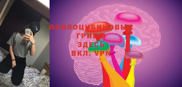 марихуана Абаза