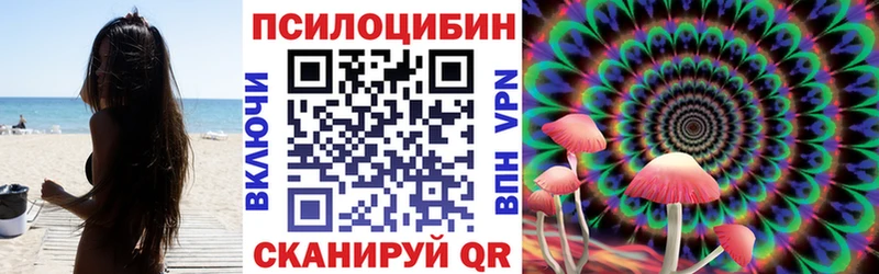 Галлюциногенные грибы MAGIC MUSHROOMS  МЕГА   Судогда 